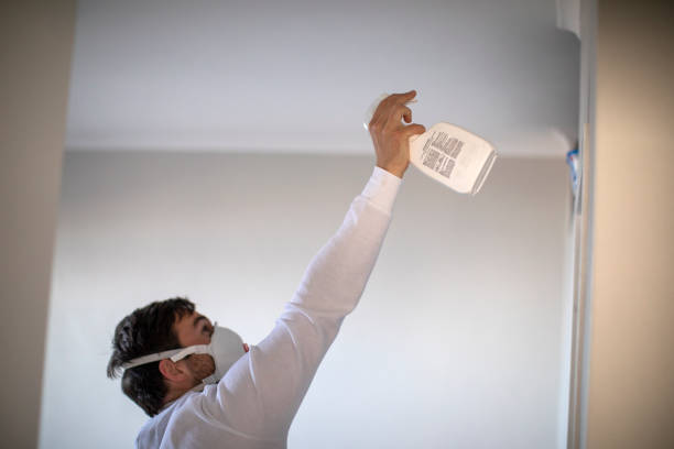 Best Black Mold Removal  in Hoover, AL