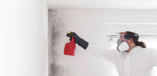 Best Residential Mold Removal  in Hoover, AL